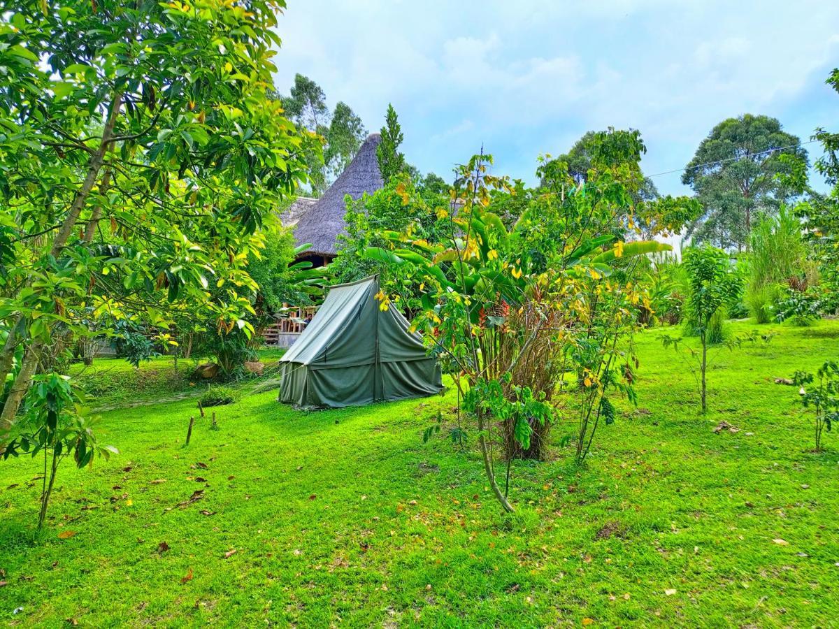 Chimpanzee Capital Safari Lodge Bigodi Exterior photo