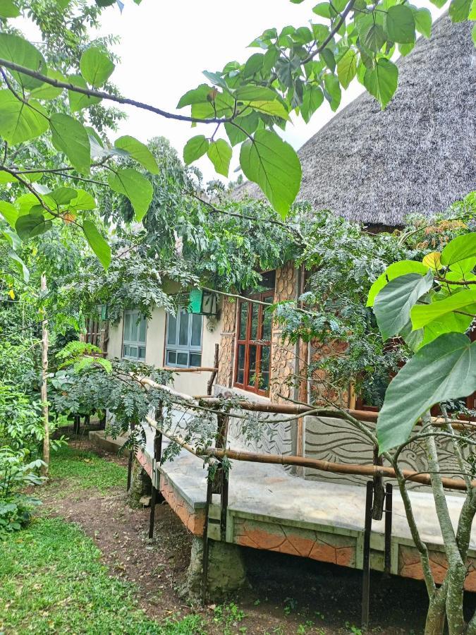 Chimpanzee Capital Safari Lodge Bigodi Exterior photo